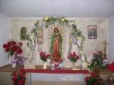 Our Lady Of Guadalupe. Click to enlarge